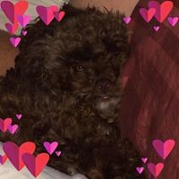 Profile Picture of Kelly Hunter (@kelly-hunter-42) on Quora