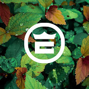 Profile Picture of EDGAR KING (@edgarking4722) on Youtube