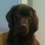 Profile Picture of Janet Beaman (@jan_beaman43) on Instagram