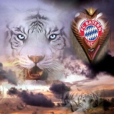 Dennis Werthmann - Twitter Profile Picture of Dennis Werthmann (@DennisWerthmann) on Twitter