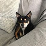 Profile Picture of Kirby James (@kirbymoments) on Instagram