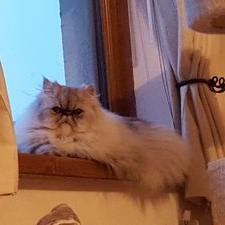 Joanne Barclay - Twitter Profile Picture of Joanne Barclay (@smokeyjo27) on Twitter