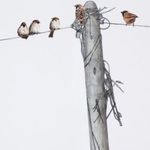 kate - Instagram Profile Picture of kate (@kate_yoon) on Instagram