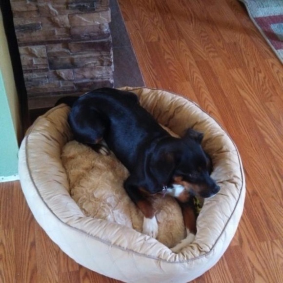 Profile Picture of Kevin Schrum (@schrumkevin7) on Poshmark