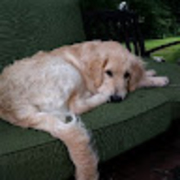 Profile Picture of Jocelyn Mendes (@jocelynmendes23) on Poshmark