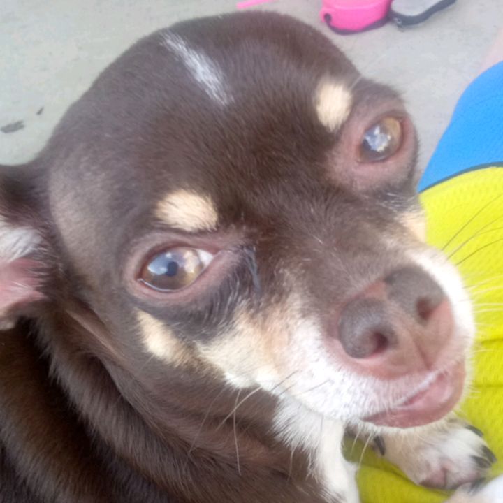 Profile Picture of Slayter lorenzo (@user3237386006397) on Tiktok