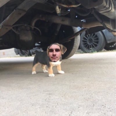 Profile Picture of Clint Tolman (@stupidclunt) on Twitter