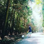 Profile Picture of 💫Hyunjoo ahn/윤깨비맘💫 (@ahn_hj23) on Instagram