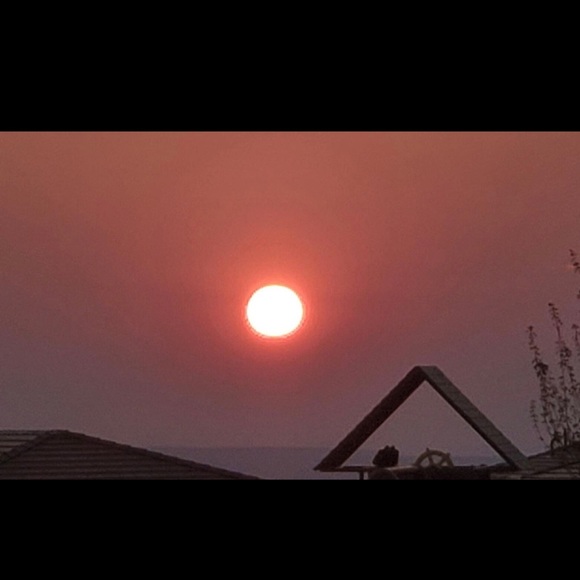 Profile Picture of Wilfredo Rivera (@wr4246) on Poshmark