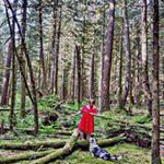 Profile Picture of Loretta Jackson (@jacksonqz_loretta) on Instagram