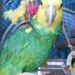 Profile Picture of Kenneth Maxwell (@captainken54) on Pinterest