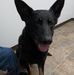 Profile Picture of Bob Stark (@bob.stark.7547) on Facebook