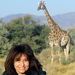 Profile Picture of Sahar Eissa (@Nilemajesty) on Flickr