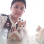 Profile Picture of Hector Castillo (@dibos_12) on Instagram