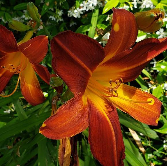 Profile Picture of Kellie Kennedy-cohen (@kelliek725) on Poshmark