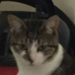 bradley howard - Instagram Profile Picture of bradley howard (@bradleyhoward9095) on Instagram