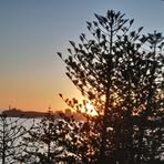 Profile Picture of Lorelle Proctor (@lorelle.proctor) on Facebook