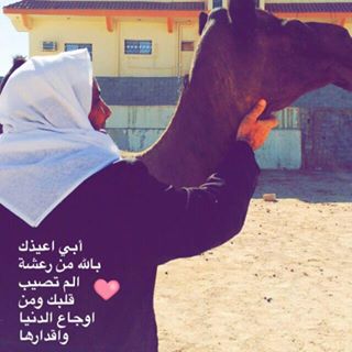 Profile Picture of Nasser Alsaleh (@nasser.alsaleh.37454) on Facebook