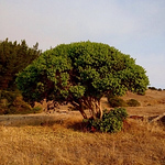 Profile Picture of Axel Perez (@cebooolla) on Flickr