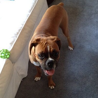 Profile Picture of Matthew Shotwell (@shotshoter) on Twitter