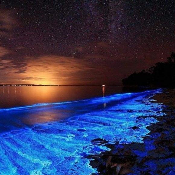 Profile Picture of Anthony Kirby (@akirby2757) on Poshmark