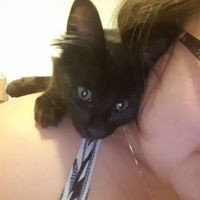 Profile Picture of Jade Stauffer (@jade-stauffer-2) on Quora