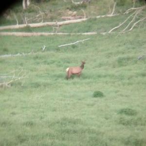 Profile Picture of Muley_michael (@mikegrant1595) on Twitter