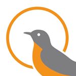 Profile Picture of Robin Schultz-Purves (@yogarising15) on Instagram