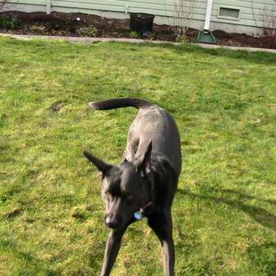 Profile Picture of Sean Sparks (@clone432) on Twitter