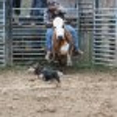 Profile Picture of Andrew Jacob Ratliff (@bullrider1996) on Twitter