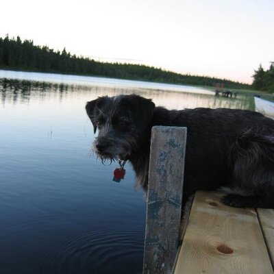 Profile Picture of Margot Brown (@MaggieB1961) on Twitter
