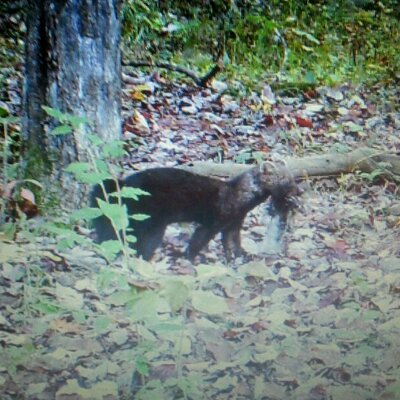 Profile Picture of Darrick Stewart (@D_Wayne_Stewart) on Twitter