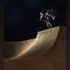 Profile Picture of Steve McCann (@@stvmccann) on Tiktok