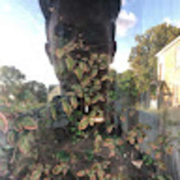 Profile Picture of David Paggi (@davidpaggi) on Poshmark