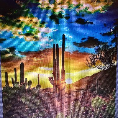 Profile Picture of Azwant2be@willretirethere (@SimkinsCheryl) on Twitter
