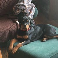 Profile Picture of Cindy Shock (@cindy-shock) on Quora