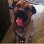 Profile Picture of Max Schoeninger (@_max_bro_) on Instagram