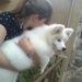 Profile Picture of Paula Busso (@pmbusso) on Pinterest