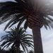 Profile Picture of Whitney Triplett (@whitneytriplett) on Pinterest