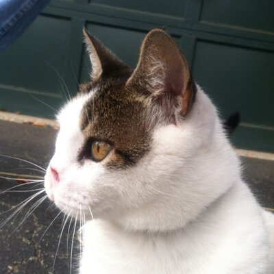 Profile Picture of David Gillen (@GillenDavid) on Twitter