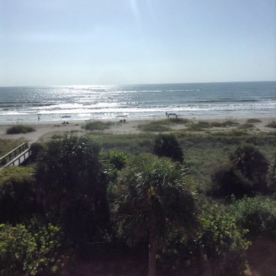 Profile Picture of Kris Plunkett (@krisplunkett01) on Twitter