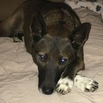 Profile Picture of Debbie Lamb Elswick (@debbie.l.elswick) on Instagram