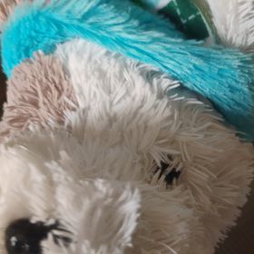 Profile Picture of James John Torres (@KassandraZayne) on Pinterest