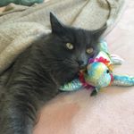 Profile Picture of Chloe (@chloeproctorrr) on Instagram