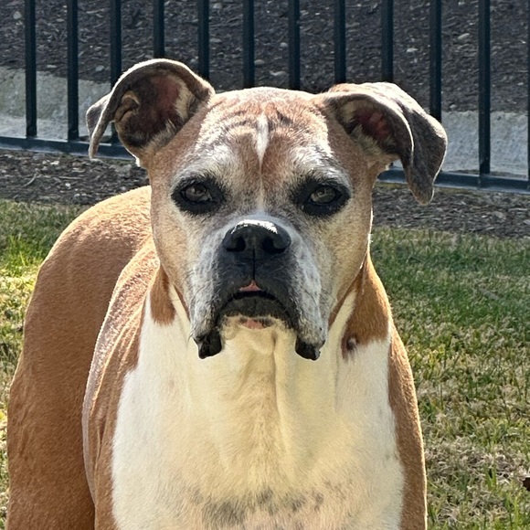 Profile Picture of Carly Carter (@carcarrd) on Poshmark