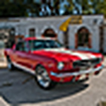 Profile Picture of Evan Ray (@Sting Ray Photography) on Flickr