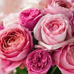 Profile Picture of Bonnie Dunbar Wickham (@bonniedw1972) on Instagram