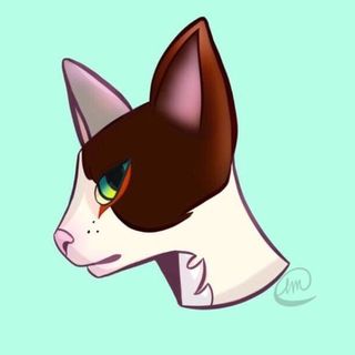 Profile Picture of holland & max (@catcastle.nyc) on Instagram