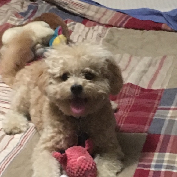 Profile Picture of Erin Zaback (@ezaback) on Poshmark