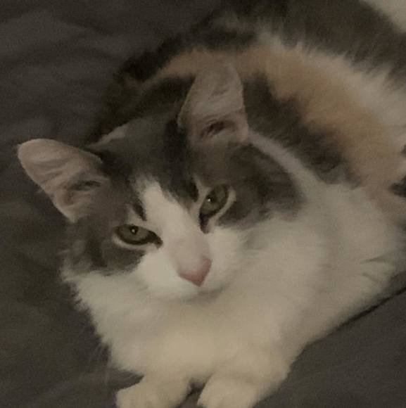 Profile Picture of Hunter Jalovecky (@hj2k) on Poshmark